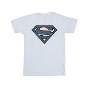 DC Comics Heren superman indigo blauw logo t-shirt