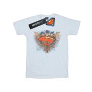 DC Comics Heren superman vleugels schild t-shirt