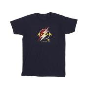 DC Comics Heren the flash lightning logo t-shirt