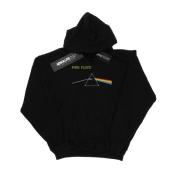 Pink Floyd Heren borst prism hoodie