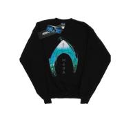 DC Comics Heren aquaman mera oceaan logo sweatshirt