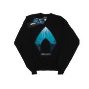 DC Comics Heren aquaman oceaan logo sweatshirt