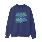 DC Comics Dames batman raster gradient sweatshirt