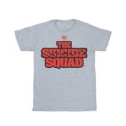 DC Comics Heren the suicide squad movie logo t-shirt