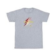 DC Comics Heren the flash lightning logo t-shirt