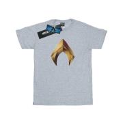 DC Comics Dames aquaman embleem katoenen vriend t-shirt