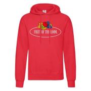 Fruit of the Loom Dames vintage klassieke logo bedrukte hoodie