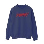 DC Comics Dames shazam fury of the gods spray paint logo sweatshirt