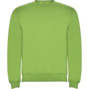 Roly Kinderen/kinderen clasica sweatshirt met ronde hals