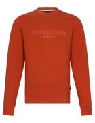 Cavallaro Celio r sweaters 120251000