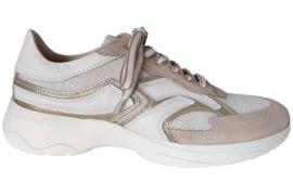 DL Sport 6540 sneaker