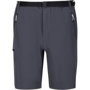 Regatta Heren xert iii stretch shorts