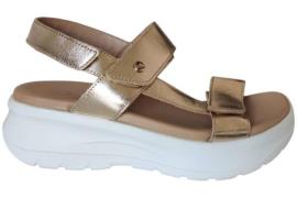 Panama Jack Noor shine b1 sandaal