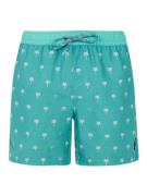 Protest parco beachshort zwemshort heren -