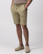 Campbell Heddle short