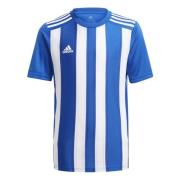 Adidas Kinder/kids 21 gestreepte trui