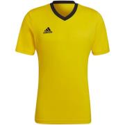Adidas Heren entrada 22 jersey
