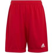 Adidas Kinderen/kinderen entrada 22 korte broek