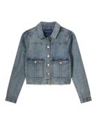 Summum Slim jacket light weight cotton 1s1229-5127