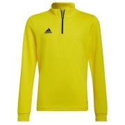 Adidas Kinderen/kinderen entrada 22 trainings sweatshirt