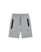 Malelions Sport counter shorts grey/green ms2-ss25-09-147