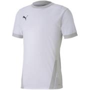 Puma Heren teamgoal 23 jersey