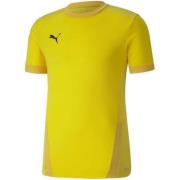 Puma Heren teamgoal 23 jersey