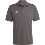 Adidas Heren entrada 22 poloshirt