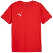 Puma Wedstrijdshirt heren teamrise