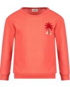 Sturdy Sweat 71600605
