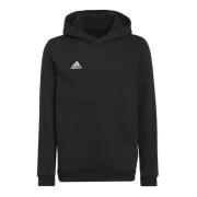 Adidas Kinderen/kinderen entrada 22 hoodie