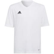 Adidas Kinderen/kinderen entrada 22 t-shirt