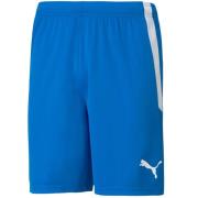Puma Heren team liga korte broek