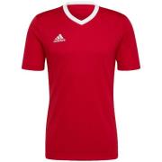 Adidas Heren entrada 22 t-shirt