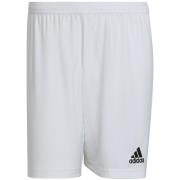 Adidas Heren entrada 22 korte broek
