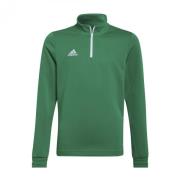 Adidas Kinder/kids entrada 22 trainings top