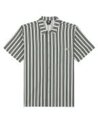 Dickies T-shirt korte mouw dk0a87g3k361