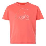 Regatta Kinderen/kinderen alvarado ix berg t-shirt
