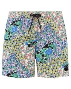 Shiwi Short 1525305213