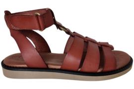 Casarini 25392 sandaal