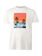 Brunotti leeway men t-shirt sport t-shirt korte mouw heren -