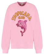 Harper & Yve Pullover hst25y500 dolphin