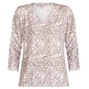 Maicazz Ilash top-cheetah