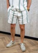 Pure Path Regular fit casual shorts