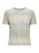 Only Onlalvira life ss glitter o-neck kn dessin