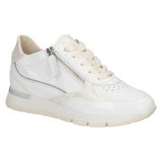 DL Sport 6533