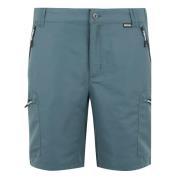 Regatta Heren leesville iii korte broek