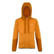 Regatta Kinder/kids dissolver x fleece full zip hoodie