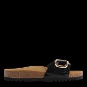 Scholl Kathleen f31519