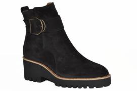 Paul Green 9763